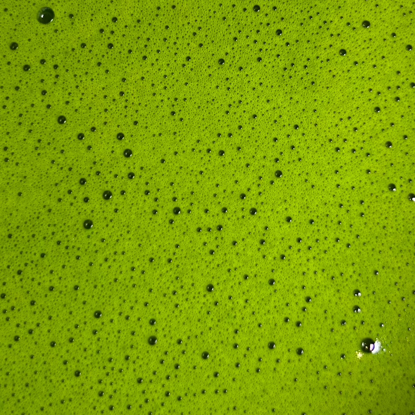 Matcha | Oishi 30g